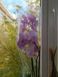 Аватар пользователя OlgaSluz